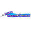 1″ Choose Love Teddy The Dog Ribbon Dog Leash