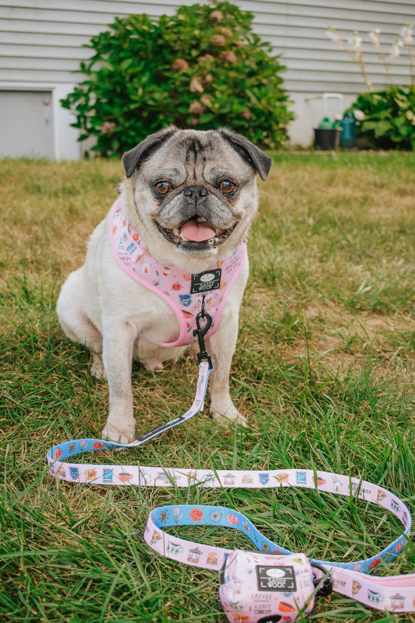 Dog Leash - Gilmore Girls™