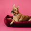 Chester & Lee | Vibrant Velvet Sleeper Dog Bed Wine