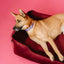Chester & Lee | Vibrant Velvet Sleeper Dog Bed Wine