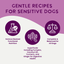 Digestive Support Variety Pack: Chicken, Beef & Turkey