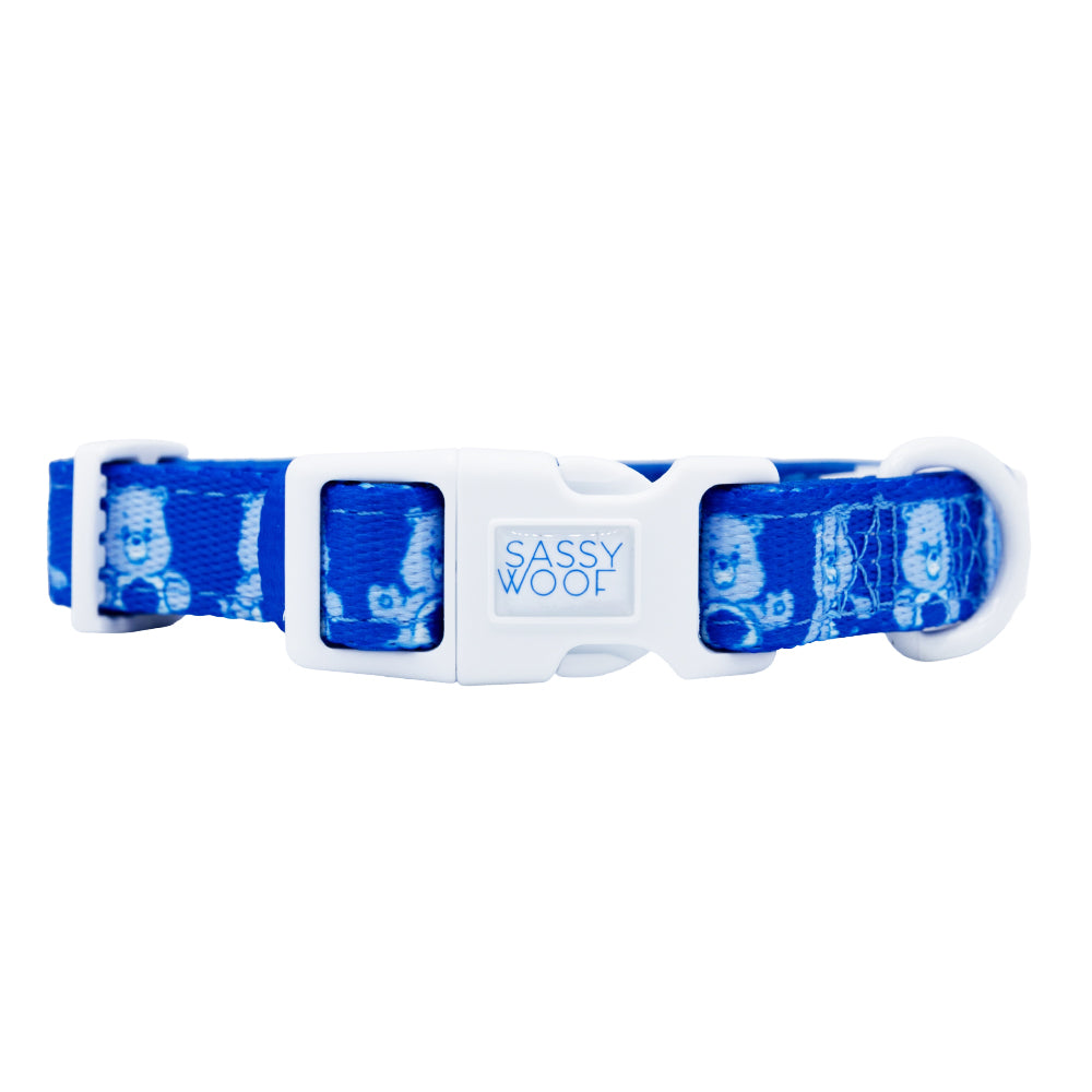 Dog Collar - Care Bears™ Grumpy Bear