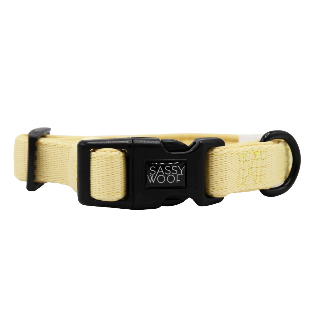 Dog Collar - Daffodil