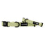 Dog Collar - Matcha