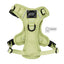 Dog Step-in Harness - Matcha