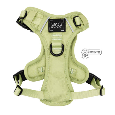 Dog Step-in Harness - Matcha
