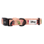 Dog Collar - Disney's Moana