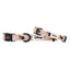 Dog Collar - Disney's Pocahontas