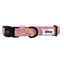 Dog Collar - Disney's Rapunzel