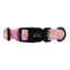 Dog Collar - Disney's Rapunzel