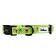 Dog Collar - Disney's Tiana