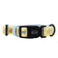 Dog Collar - Patch Perfect