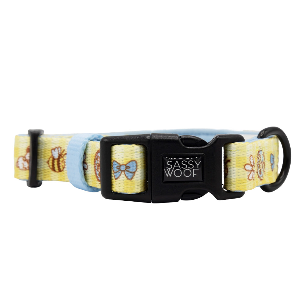 Dog Collar - Patch Perfect