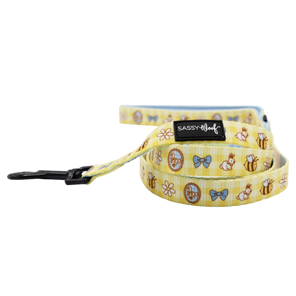 Dog Leash - Patch Perfect