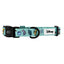 Dog Collar - Disney's Winnie the Pooh