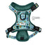 Dog Step-in Harness - Disney's Winnie the Pooh