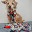 Dog Adjustable Harness - Looney Tunes™ Blue