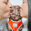 Dog Adjustable Harness - Little Love