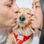 Dog Adjustable Harness - Little Love