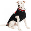 Dad Dog Sweater