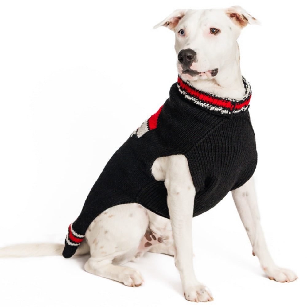 Dad Dog Sweater