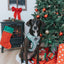 Dog Adjustable Harness - Under the Mistletoe