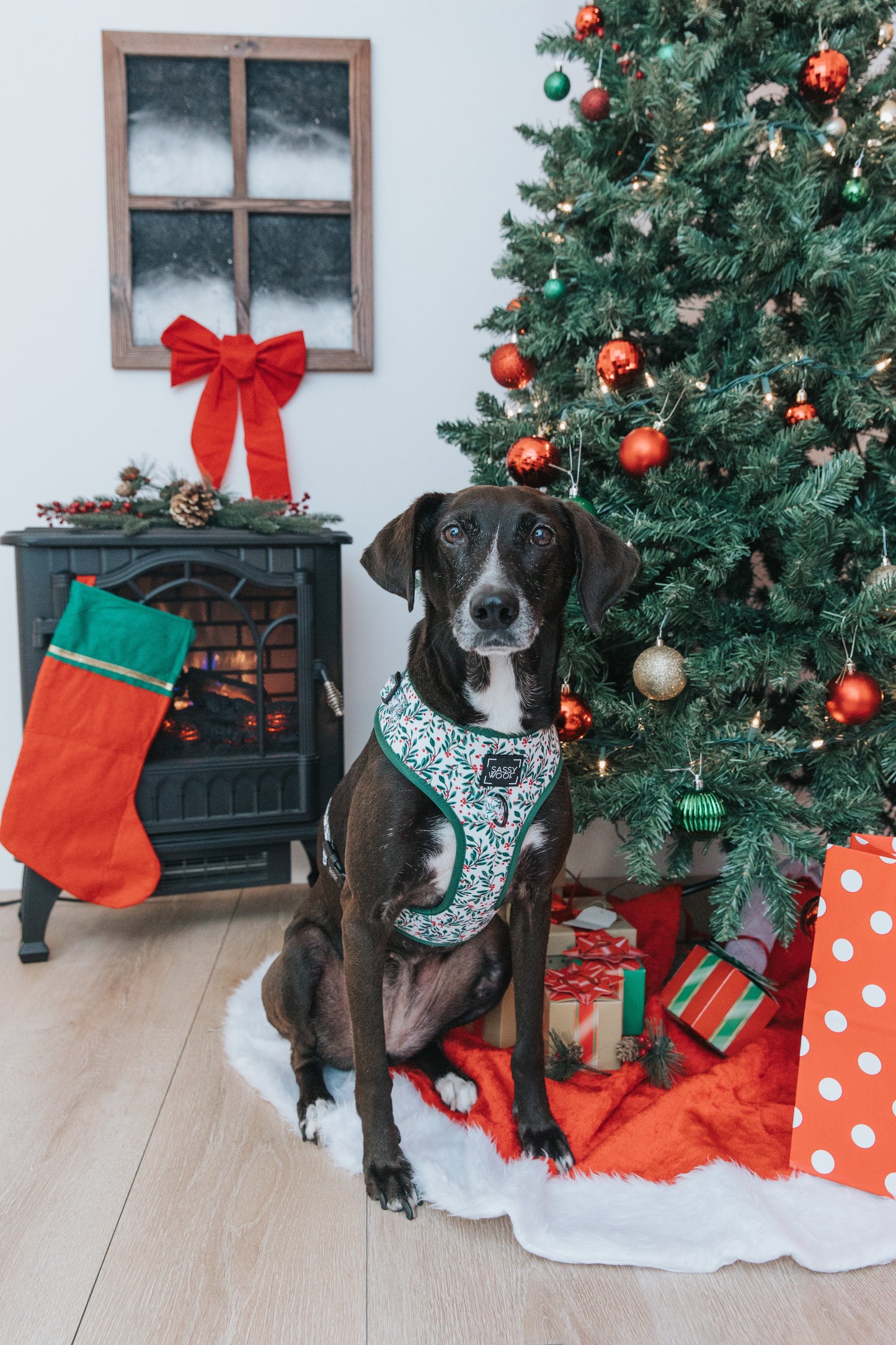 Dog Adjustable Harness - Under the Mistletoe
