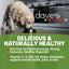 Dave’s Naturally Healthy Chicken & Rice Recipe Wet Dog Food (13.2oz)