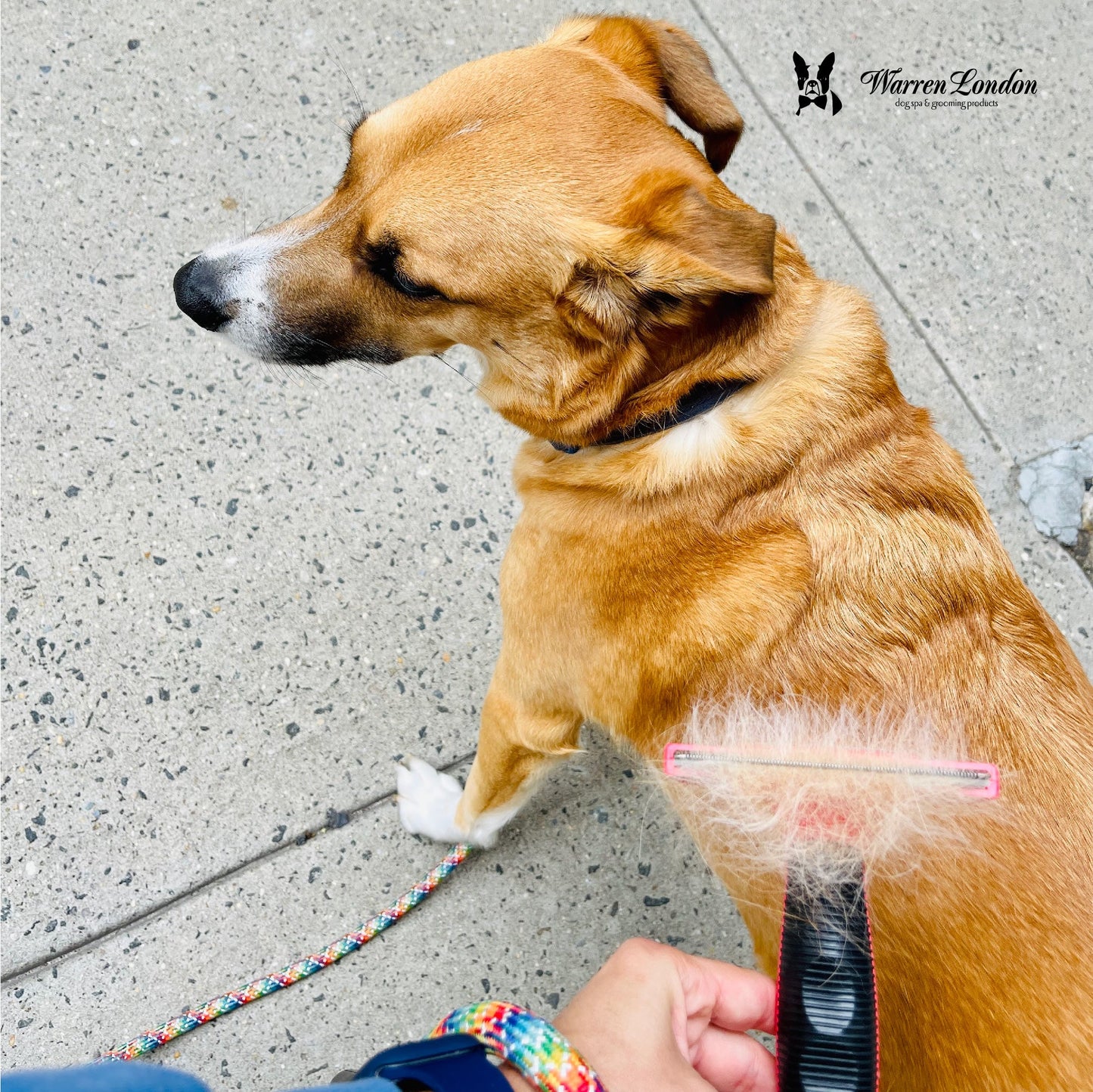 De-Shedding Dog Brush for Long Hair (>1")