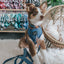 Dog Collar - Denim