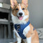 Dog Adjustable Harness - Denim