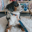 Dog Collar - Denim
