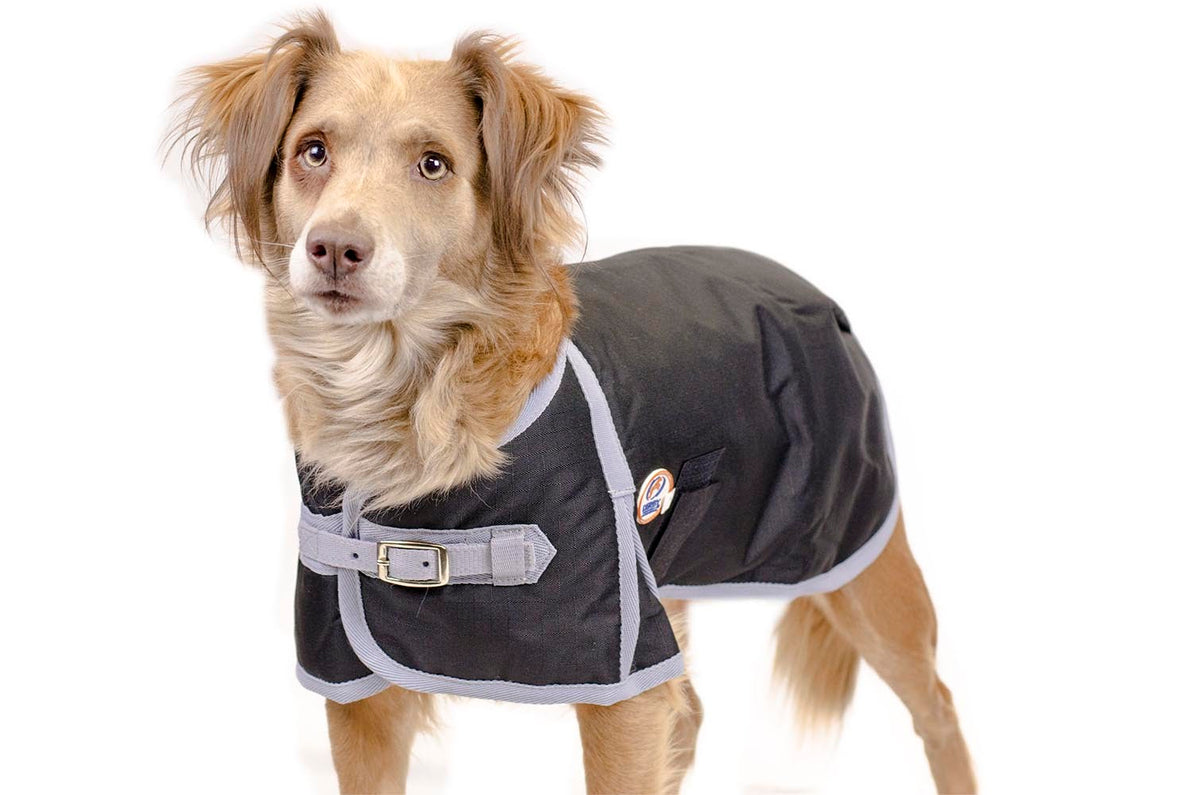 Derby 600D Dog Blanket Coat Waterproof Insulated 1 Year Limited Manufacturer Warranty*