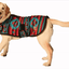 Desert Rose Blanket Dog Coat
