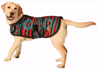 Desert Rose Blanket Dog Coat