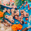 Dog Adjustable Harness - Disney's Moana