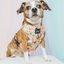 Dog Adjustable Harness - Disney's Moana