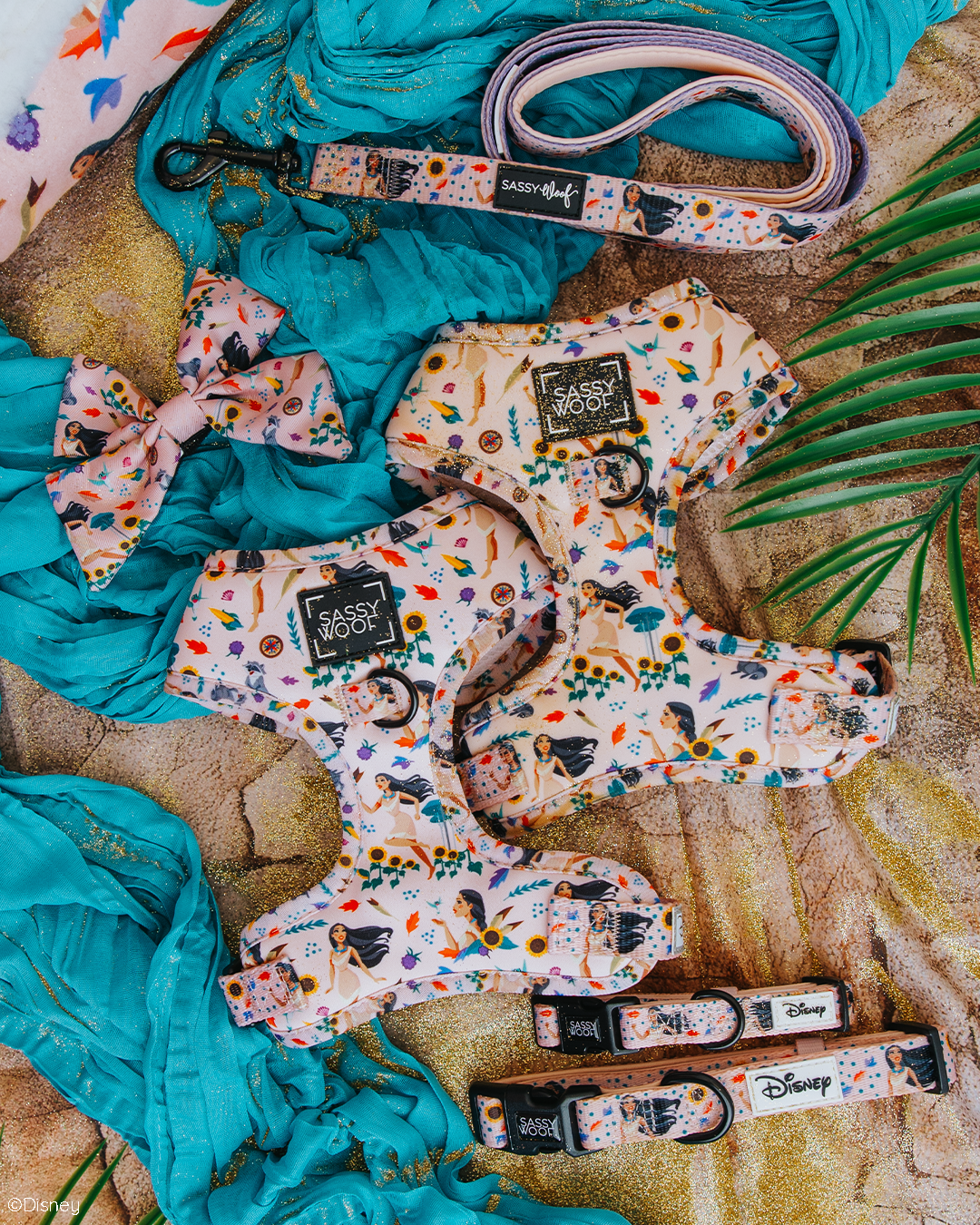 Dog Adjustable Harness - Disney's Pocahontas