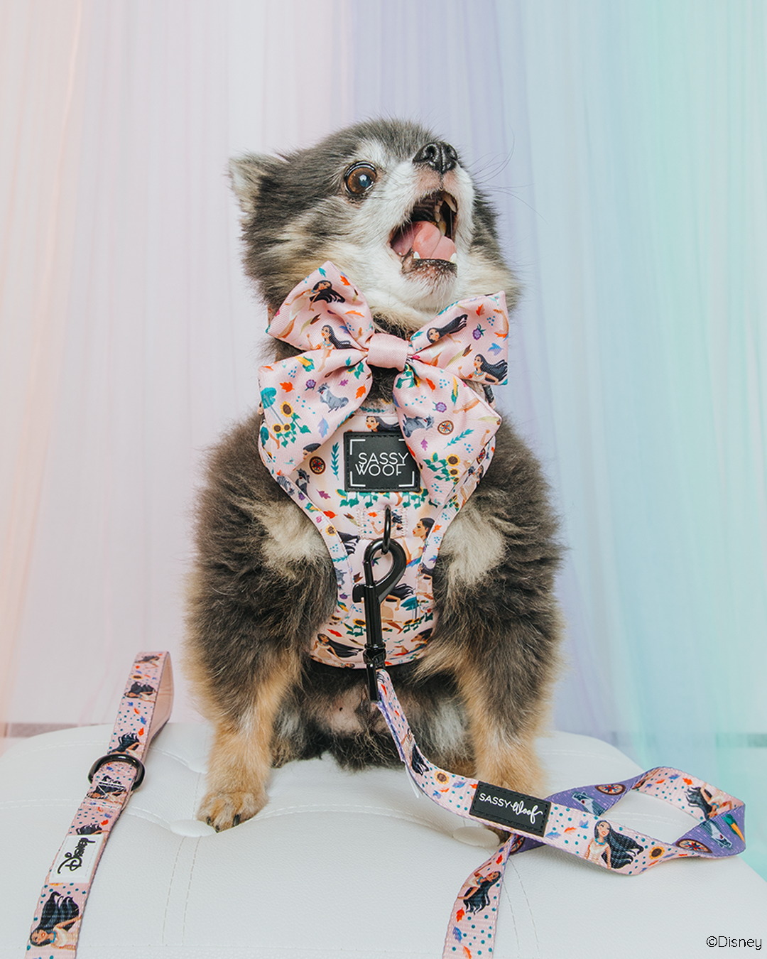 Dog Adjustable Harness - Disney's Pocahontas