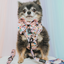 Dog Adjustable Harness - Disney's Pocahontas