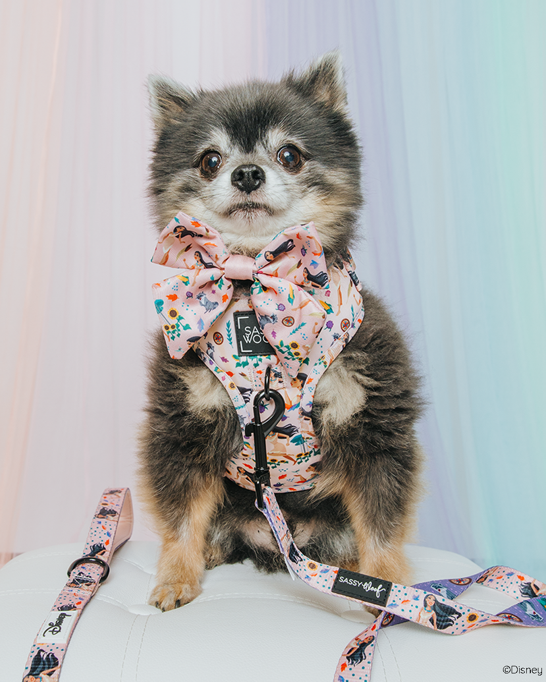 Dog Collar - Disney's Pocahontas