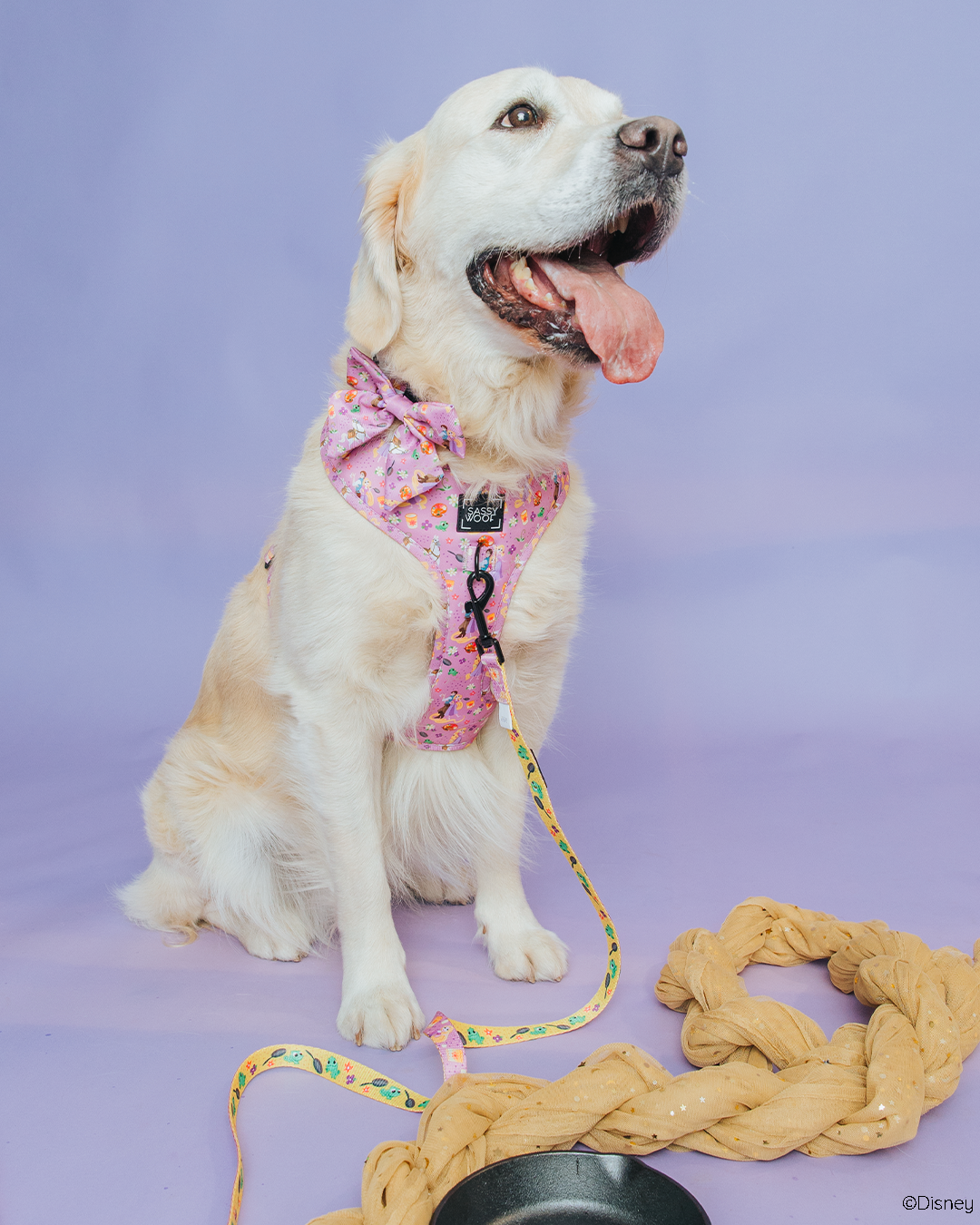 Dog Adjustable Harness - Disney's Rapunzel