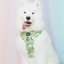Dog Adjustable Harness - Disney's Tiana