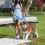 Dockside Adventures Waterproof Dog Leash