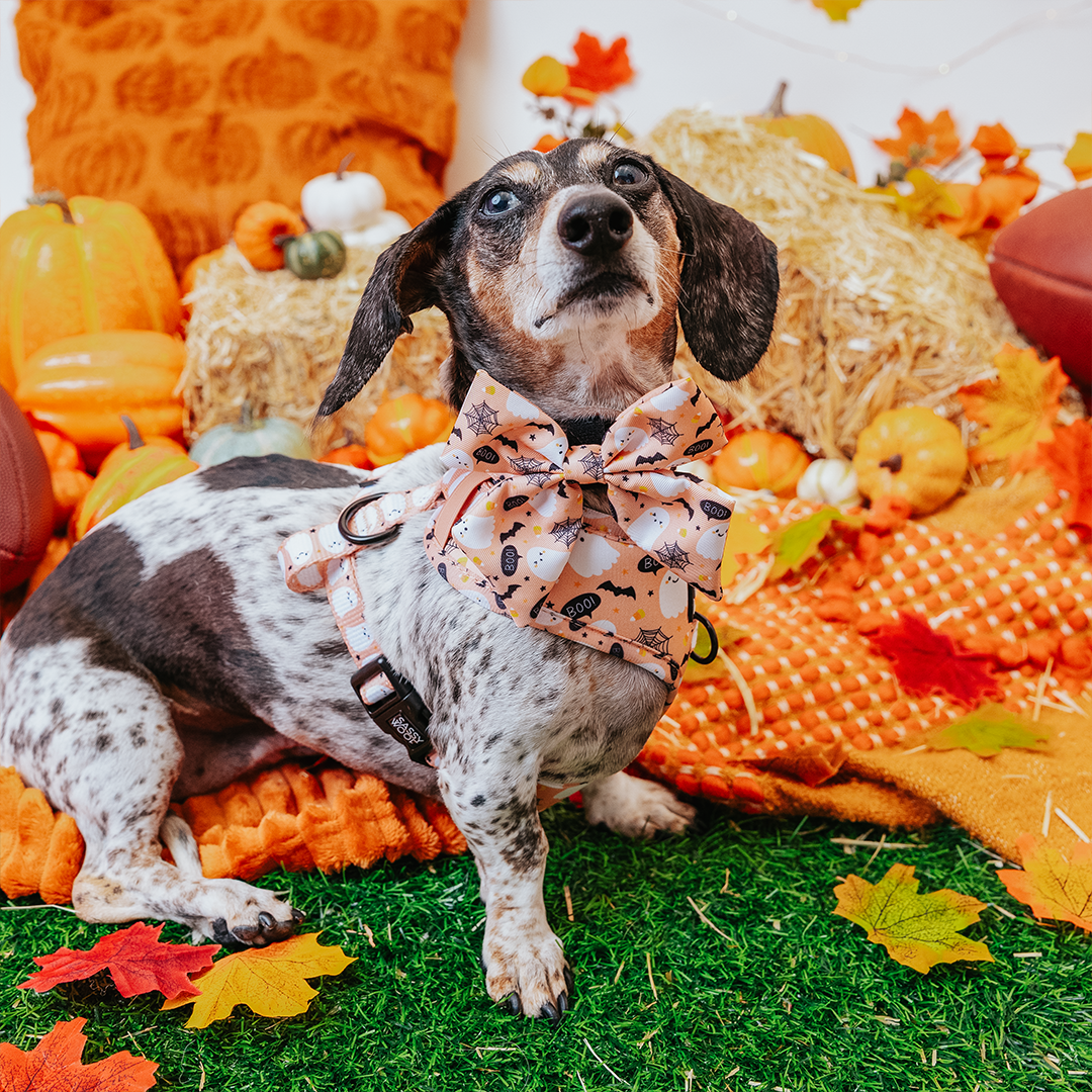 Dog Adjustable Harness - Squad Ghouls