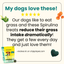 Allergy-Friendly Dog Treats, 6-Pack