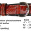 Derby Dog Designer Series USA Leather Padded Alligator With Crystals Dog Collar with Stainless Steel Rolled Buckle for Comfort