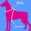 Step in Dog Harness by cuteNfuzzyÂ®