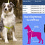Step in Dog Harness by cuteNfuzzyÂ®