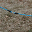 Dog Walker Pro Leash, 7'
